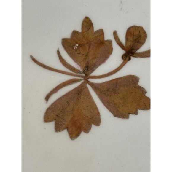 Royal Ironstone China Alfred Meakin England Plate Copper Tea Leaf PatternAntique - Picture 4 of 5